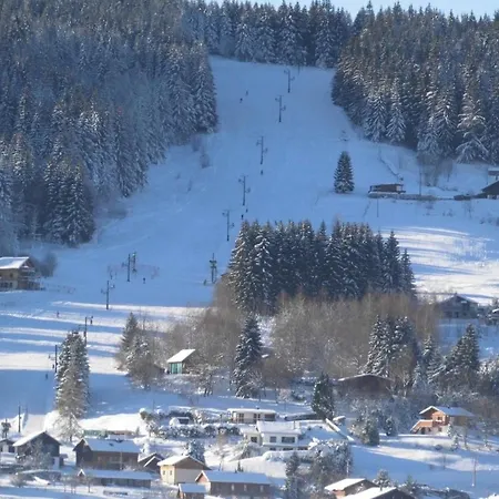 Chalet 6 Pers Pres Du De Longemer Et Des Pistes Xonrupt-Longemer