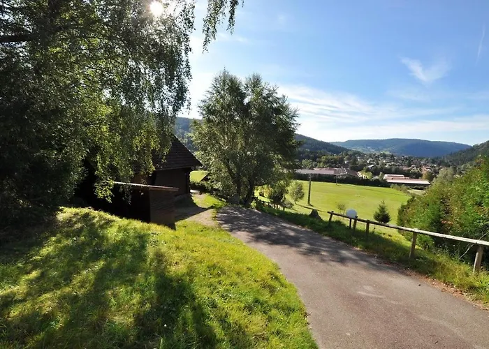 6 Pers A 900m Du De Longemer Et Des Pis